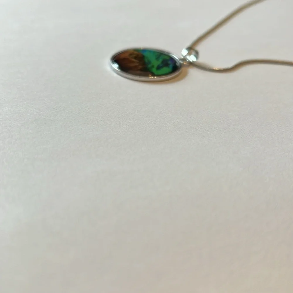 Elegant Silver Tone Necklace with Colorful Pendant